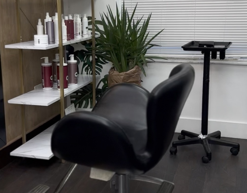 Stylish salon station featuring a black styling chair, product shelves, and a plant.