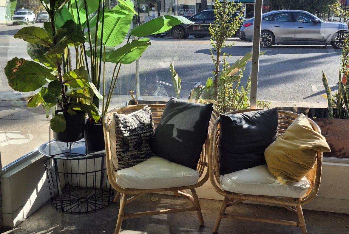 Bright salon lounge with natural sunlight, indoor plants, and stylish seating.