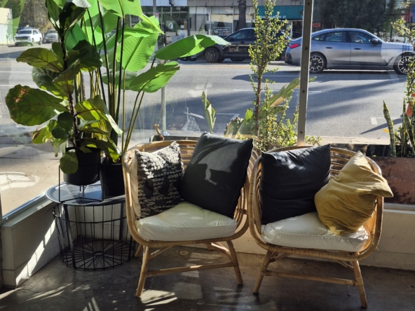 Bright salon lounge with natural sunlight, indoor plants, and stylish seating.