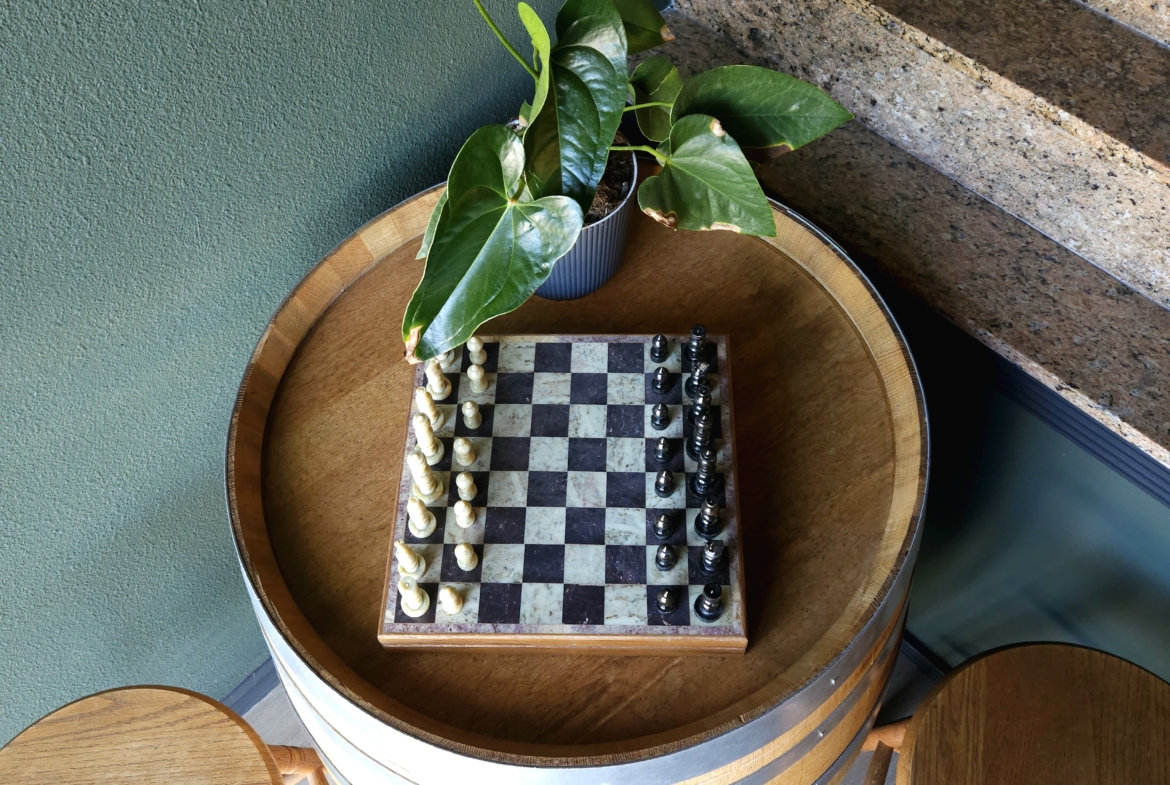 Green plant, chessboard, and wooden stools in salon decor.