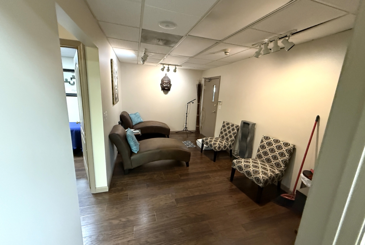 A cozy salon reception with stylish chairs and tranquil ambiance for clients.