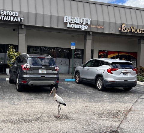 A salon storefront with parking, featuring Beauty Lounge, seafood restaurant, and En Vogue.