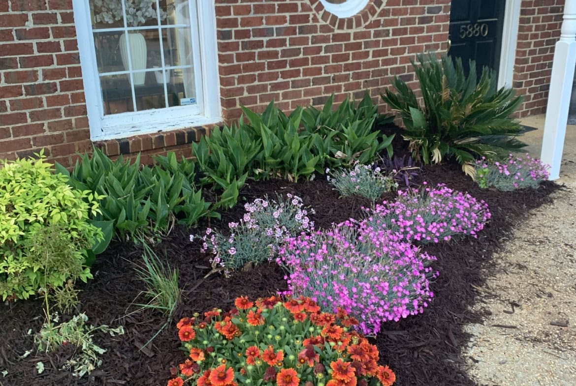 Bright flower bed outside a brick salon building, colorful blooms and lush greenery.