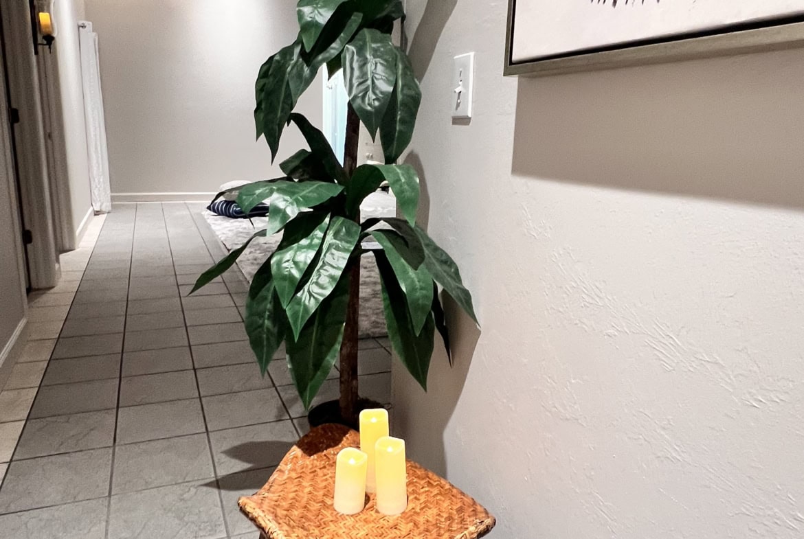 Lush green indoor plant with candles on a woven stool in a modern salon interior.