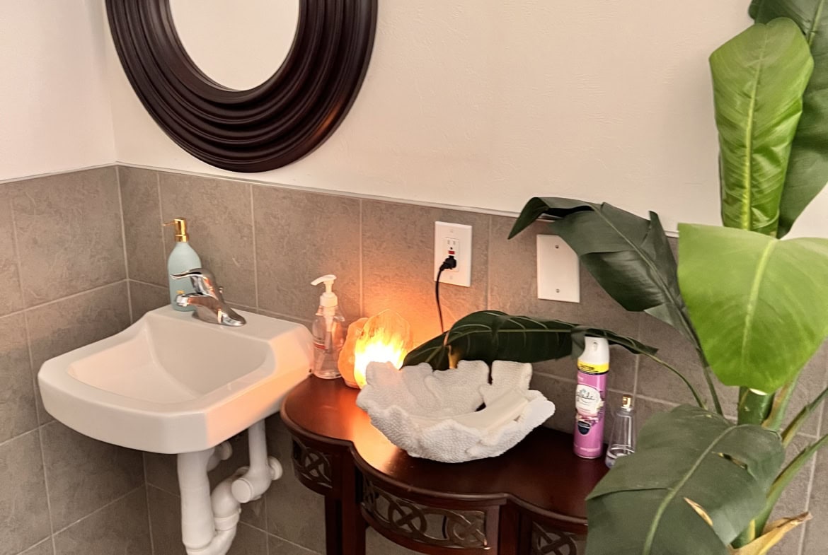 Clean salon sink with lush green plant and decorative elements, ideal for salon rental settings.