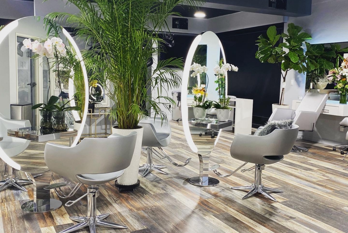 Stylish salon with mirrors, chairs, and greenery, creating a fresh and inviting atmosphere for clien.