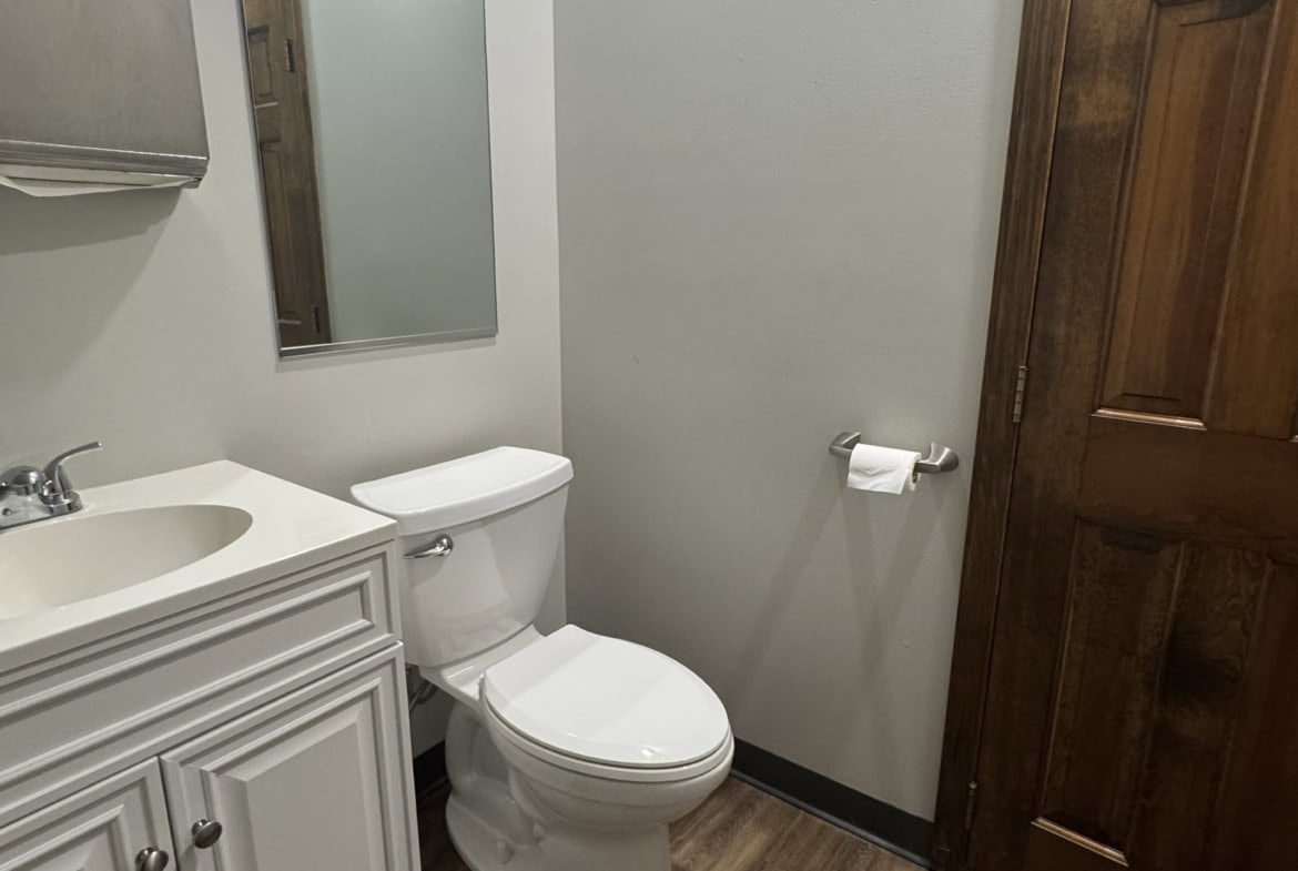 Bathroom with white fixtures, mirror, and wooden door in a contemporary style.