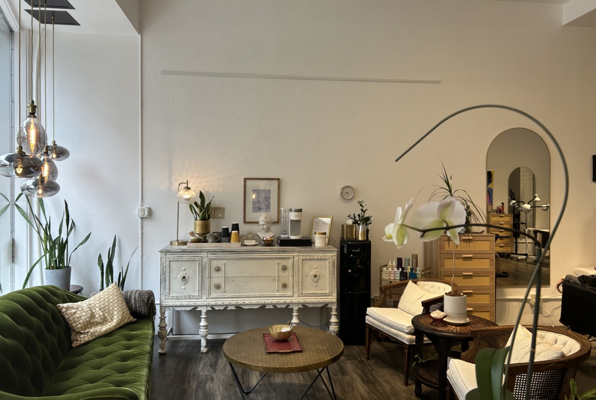 Modern salon interior with vintage furniture, white walls, and lush green plants for a relaxing beau.