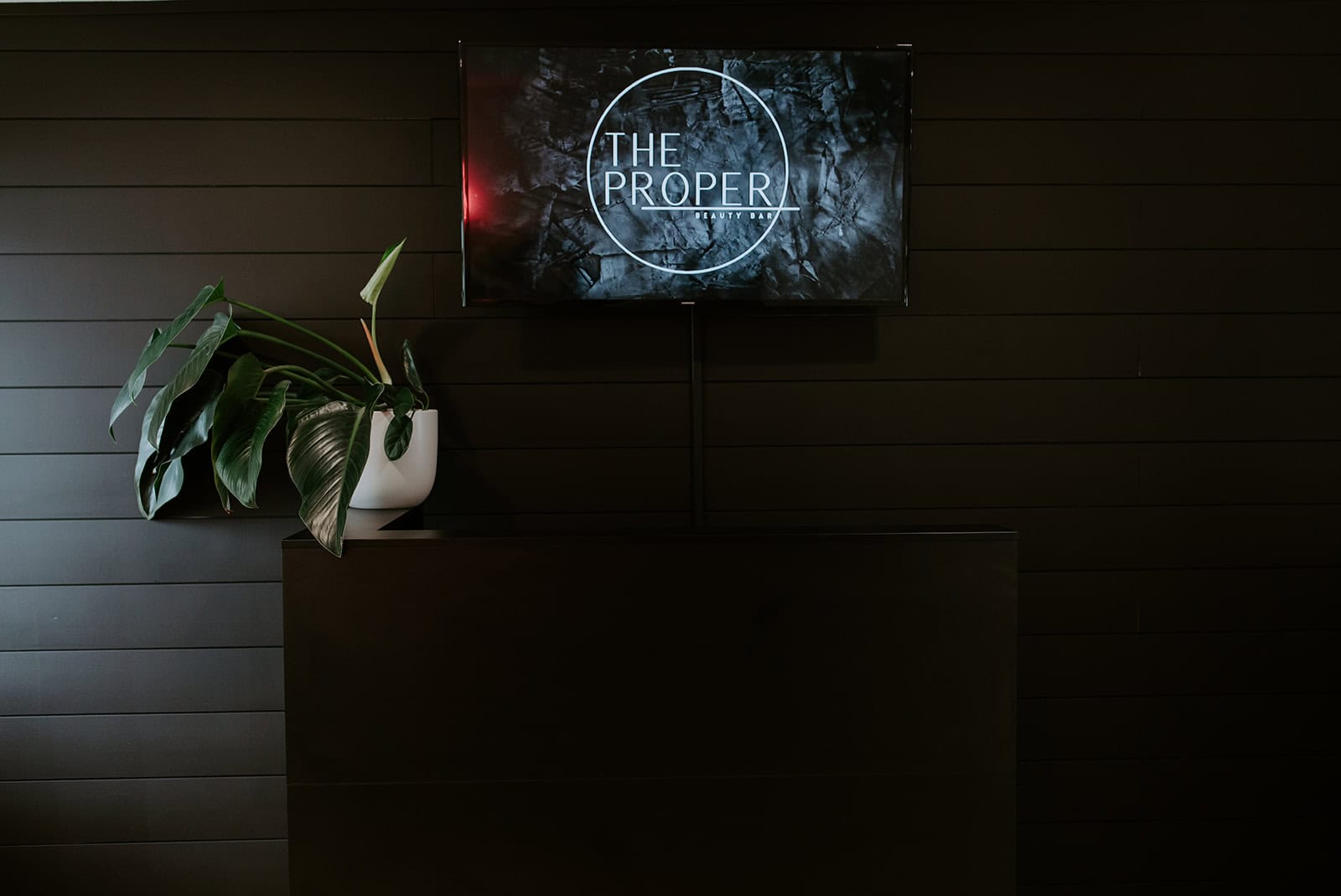 Modern salon reception area with digital signage and a potted plant, stylish dark wood wall backgrou.