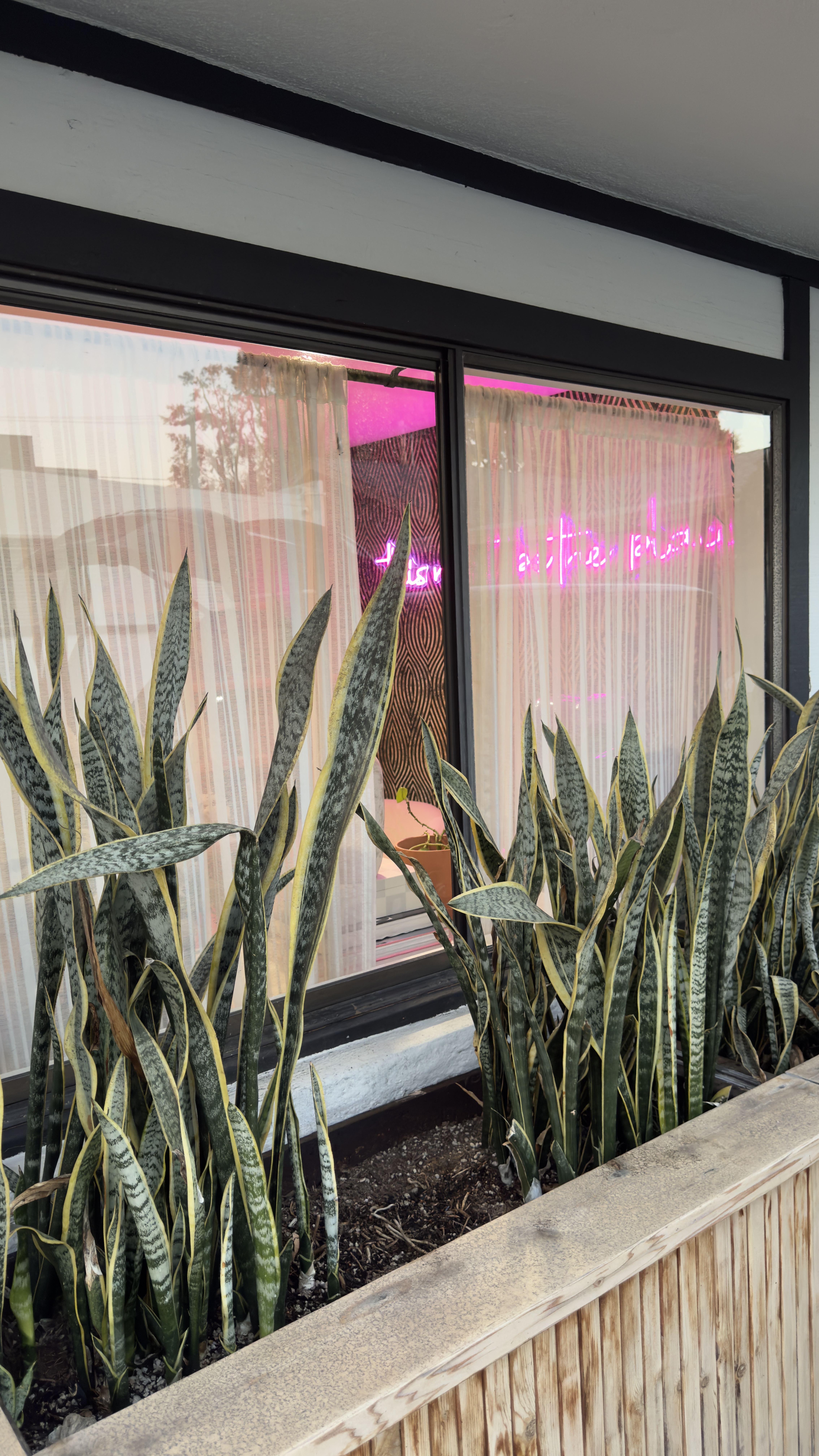 Exterior view of Salon Renter with neon sign and lush plants in front.