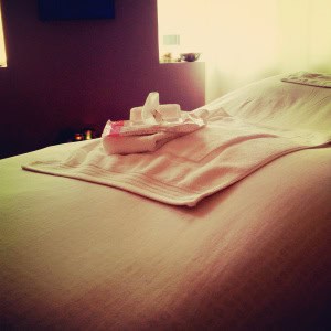 Cozy salon rental bed with towel and tissues in a relaxing spa setting.